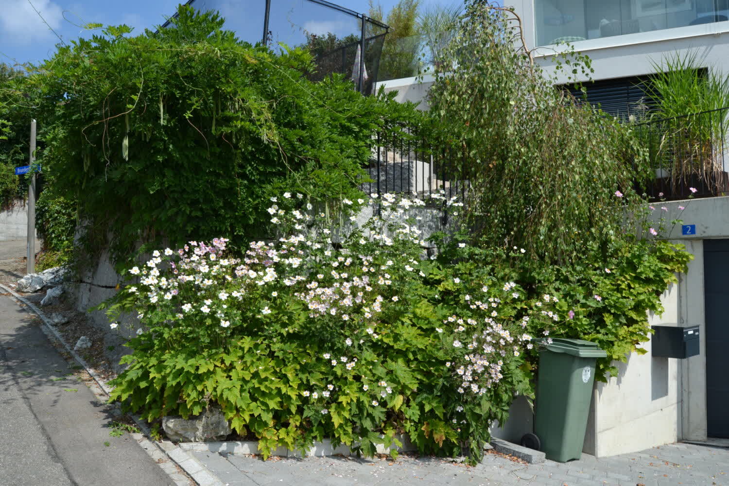 Detailansicht der Bepflanzung in Bachenbülach