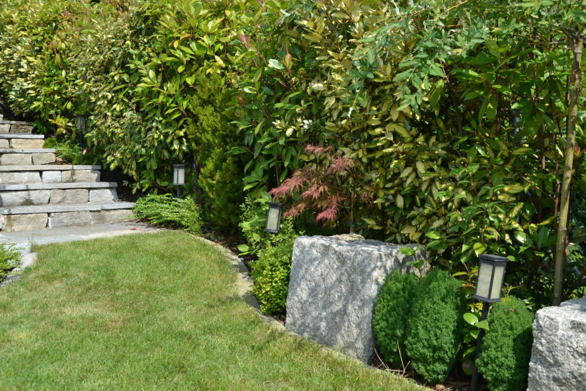 Gartenunterhalt in Hombrechtikon – professionelle Gartenpflege von Tahiri Gartenbau & Unterhalt GmbH